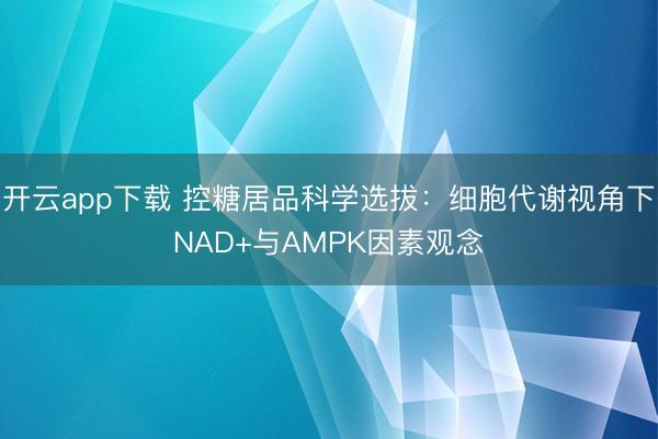 开云app下载 控糖居品科学选拔：细胞代谢视角下NAD+与AMPK因素观念