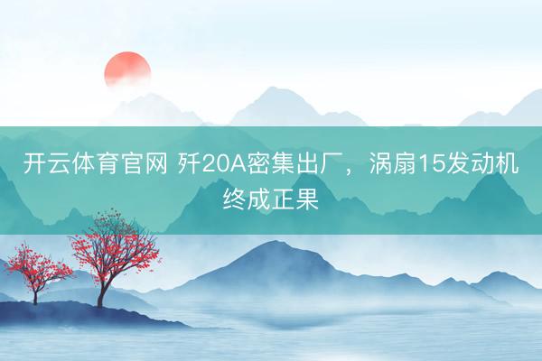 开云体育官网 歼20A密集出厂，涡扇15发动机终成正果