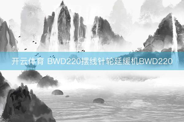 开云体育 BWD220摆线针轮延缓机BWD220