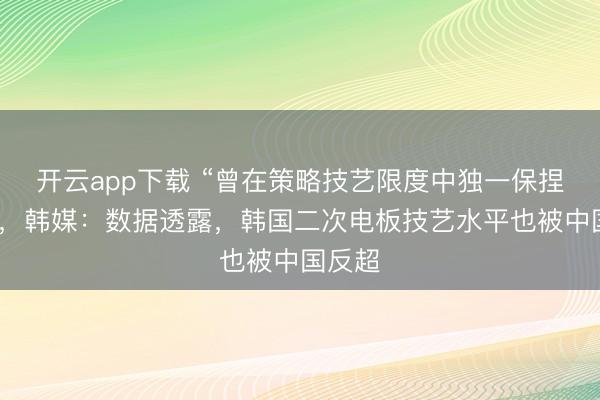 开云app下载 “曾在策略技艺限度中独一保捏跳跃”，韩媒：数据透露，韩国二次电板技艺水平也被中国反超