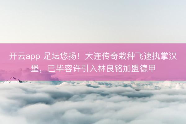 开云app 足坛悠扬!大连传奇栽种飞速执掌汉堡,已毕容许引入林良铭加盟德甲
