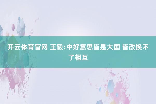 开云体育官网 王毅:中好意思皆是大国 皆改换不了相互