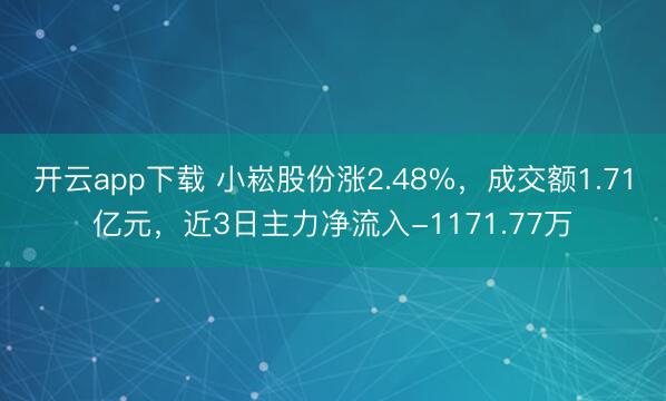 开云app下载 小崧股份涨2.48%，成交额1.71亿元，近3日主力净流入-1171.77万