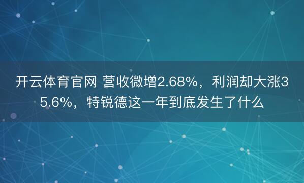 开云体育官网 营收微增2.68%，利润却大涨35.6%，特锐德这一年到底发生了什么