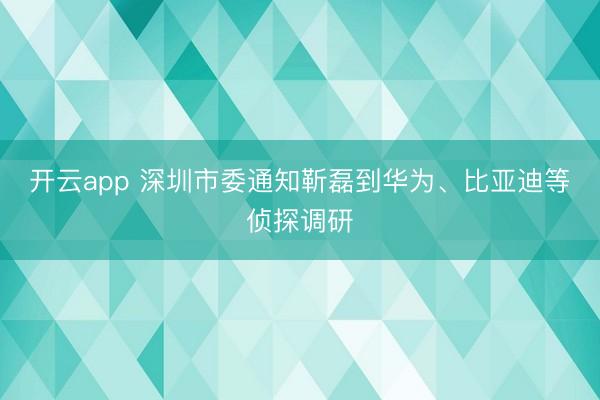 开云app 深圳市委通知靳磊到华为、比亚迪等侦探调研